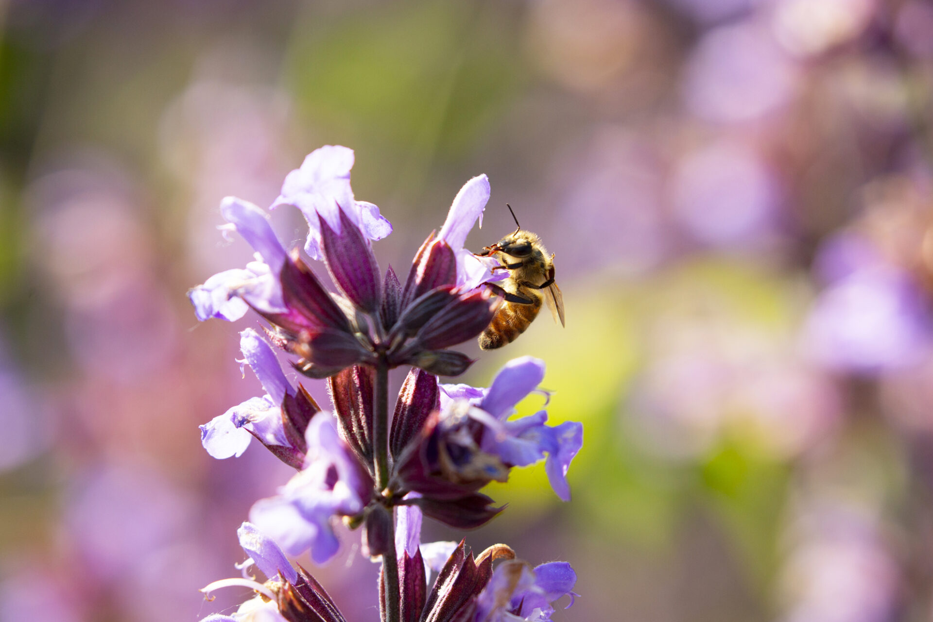 image de fond de l'actualité